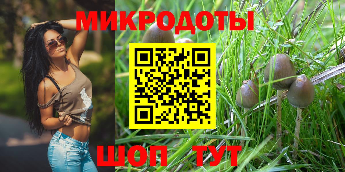 Галлюциногенные грибы мухоморы Гусиноозёрск
