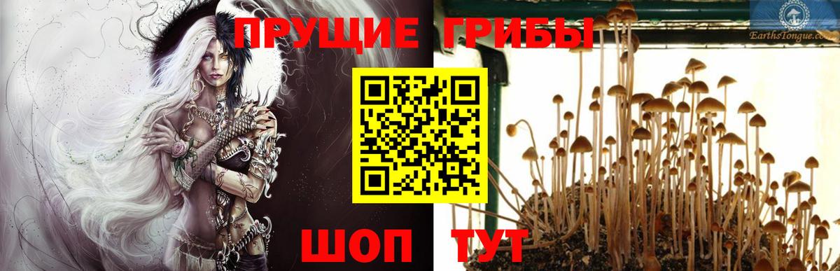 Псилоцибиновые грибы MAGIC MUSHROOMS  Гусиноозёрск 