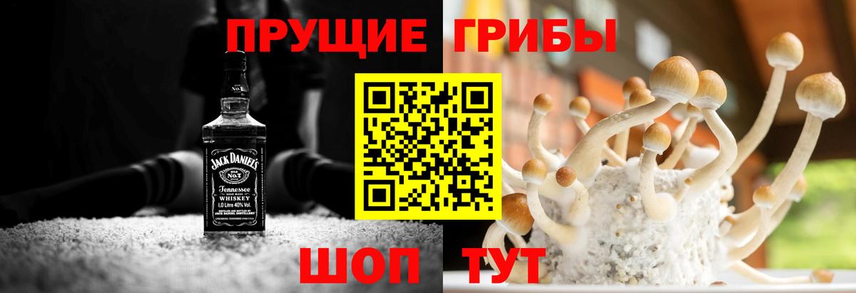 Галлюциногенные грибы Magic Shrooms  Вход с VPN  Гусиноозёрск  Галлюциногенные грибы мухоморы 